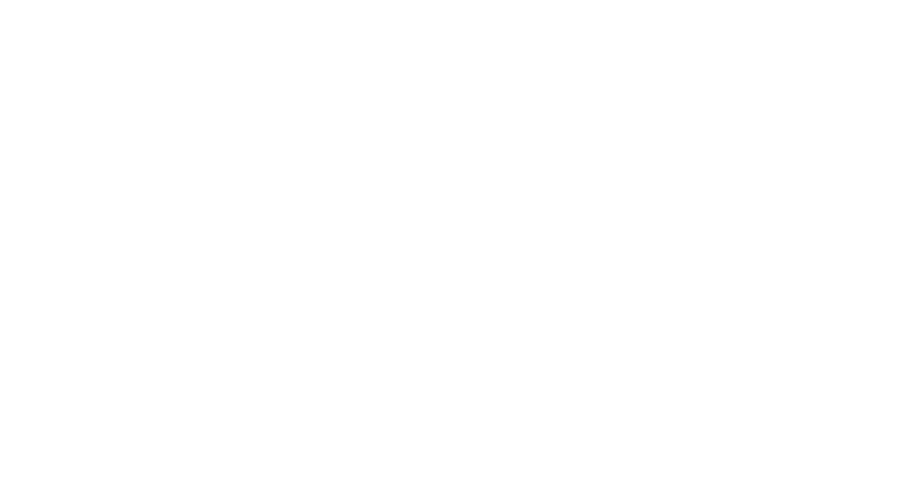 Flying Dutchman Studios